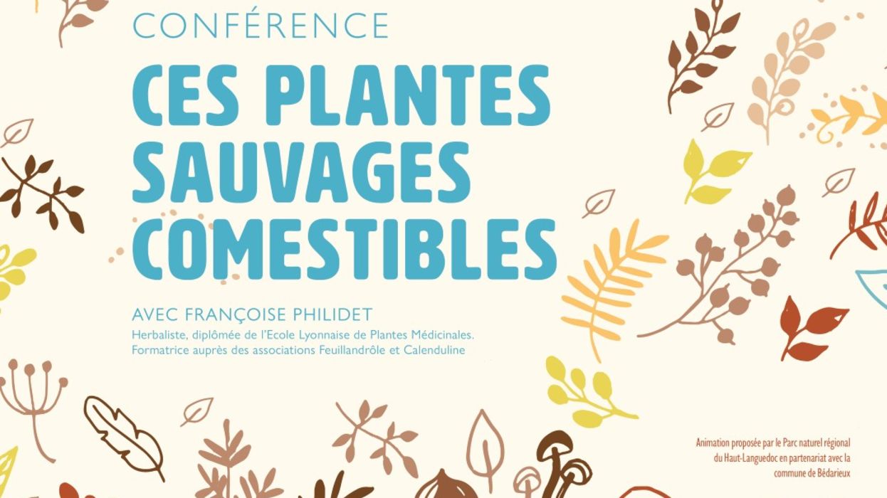 Ces plantes sauvages comestibles