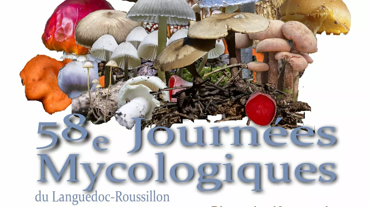 58e Journées Mycologiques du Languedoc-Roussillon