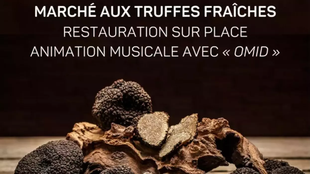 Fête de la truffe