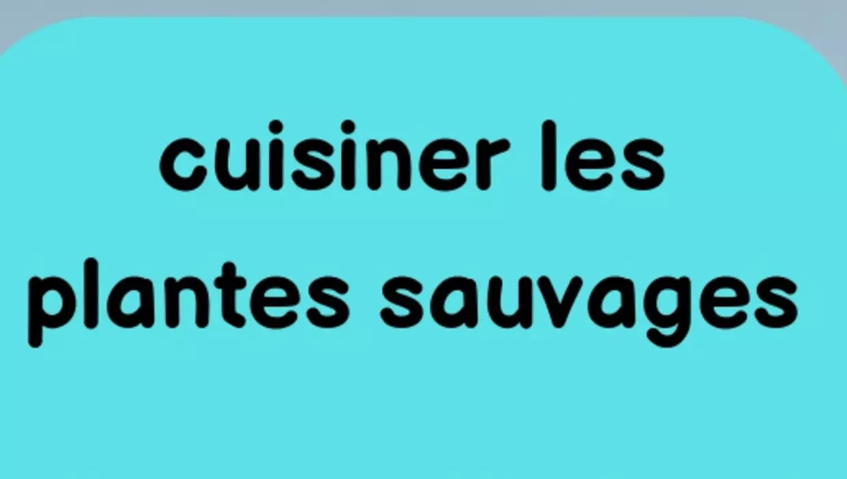 Cuisiner les plantes sauvages