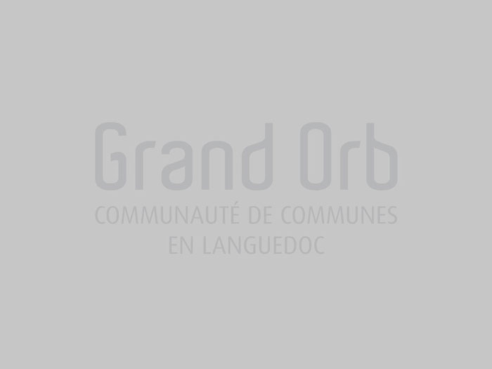 Terroir Et Gastronomie Grandorbfr - 